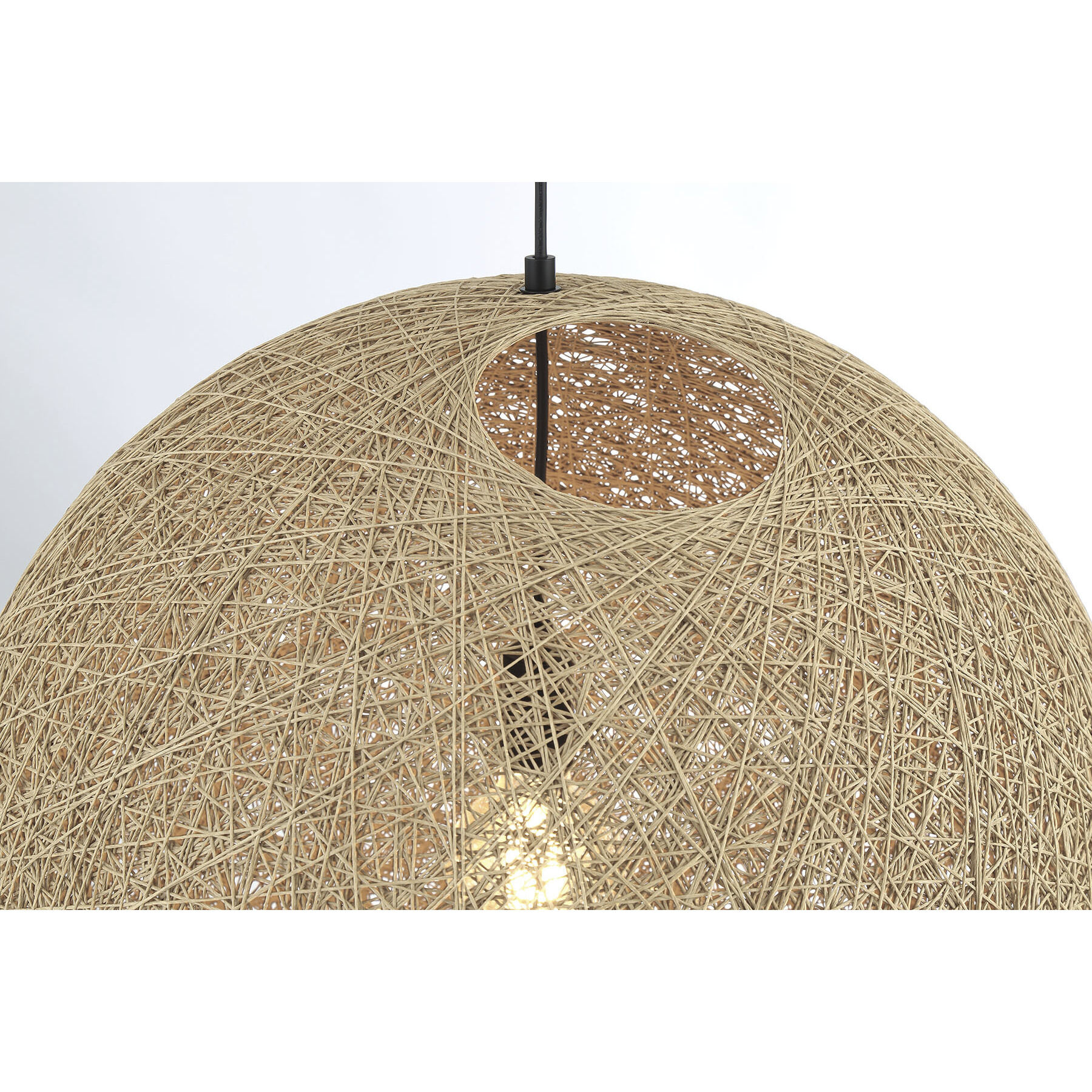 Entwined 1 Light 24 inch Coal Pendant Ceiling Light